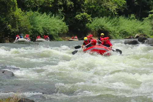 Rafting v Kitulgala