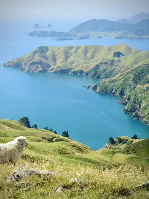 Plavba cez Marlborough Sounds
