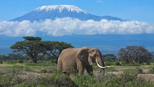 Výstup na Kilimanjaro