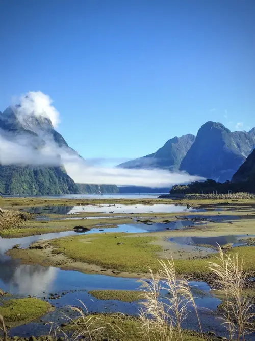 Routeburn Flats